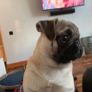 Meet your Posher, Jill